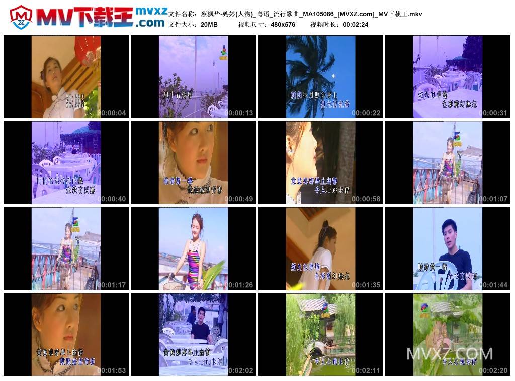 蔡枫华-娉婷(人物)_粤语_流行歌曲_MA105086